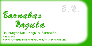 barnabas magula business card